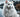 Anadolu'daki kedi ırkları