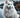 Anadolu'daki kedi ırkları