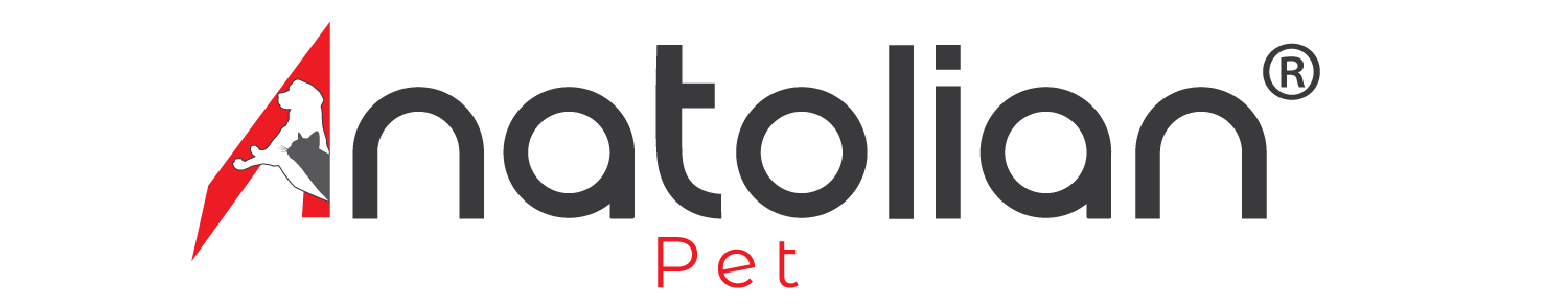 anatolian-pet