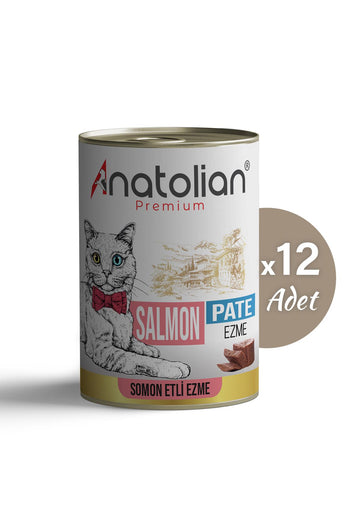 Somonlu Yetişkin Ezme Kedi Konservesi 400 gr x 12 Adet