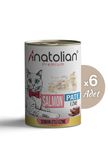 Somonlu Ezme Yetişkin Kedi Konservesi 400 gr x 6 Adet