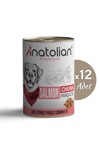 Somonlu Parça Etli Yetişkin Köpek Konservesi 400 gr x 12 Adet
