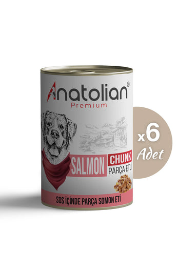 Somonlu Parça Etli Yetişkin Köpek Konservesi 400 gr x 6 Adet