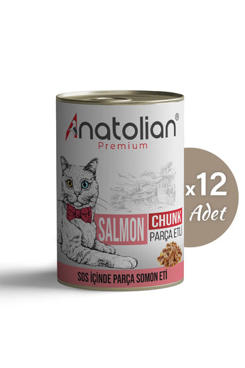 Somonlu Yetişkin Kedi Konservesi 400 gr x 12 adet
