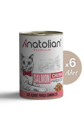 Somonlu Yetişkin Kedi Konservesi 400 gr x 6 Adet