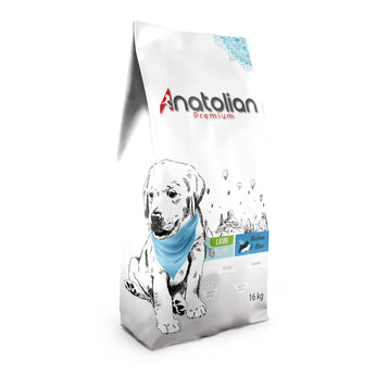 Kuzulu Yavru Medium & Maxi Köpek Maması 16 kg
