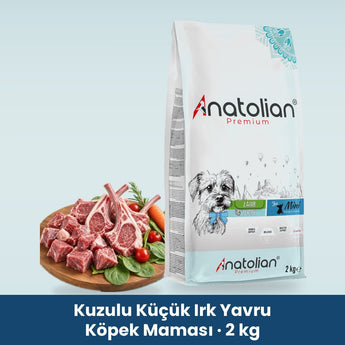 Anatolian Premium kuzulu küçük ırk yavru köpek maması 2 kg paketi ve kuzu eti tabağı