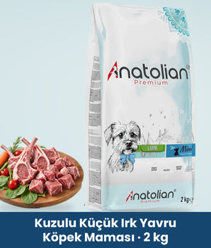 Anatolian Premium Kuzulu Küçük Irk Yavru Köpek Maması 2 kg paketi ve kuzu eti tabağı