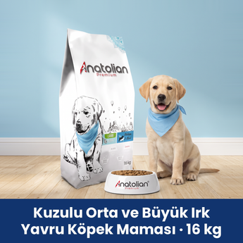 Anatolian Premium Kuzulu Orta ve Büyük Irk Yavru Köpek Maması 16 kg paketi, mavi bandanalı Labrador yavrusu ve mama kabı
