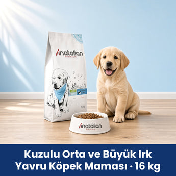 Anatolian Premium Kuzulu Orta ve Büyük Irk Yavru Köpek Maması 16 kg paketi, Labrador yavrusu ve mama kabı