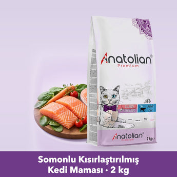 Anatolian Premium somonlu kısırlaştırılmış kedi maması 2 kg paketi ve gerçek somon tabağı