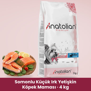 Anatolian Premium Somonlu Küçük Irk Yetişkin Köpek Maması 4 kg paketi ve somon tabağı
