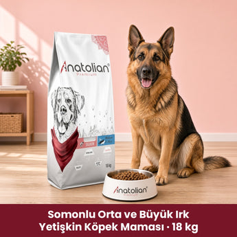 Anatolian Premium Somonlu Orta ve Büyük Irk Yetişkin Köpek Maması 18 kg paketi, Alman Kurdu ve mama kabı