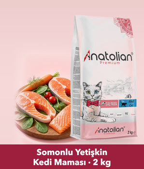 Anatolian Premium somonlu yetişkin kedi maması 2 kg paketi ve gerçek somon tabağı