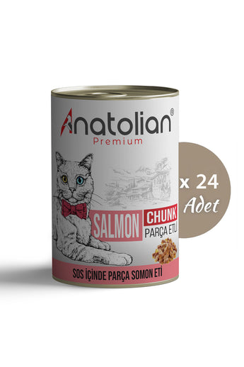 Somonlu Yetişkin Kedi Konservesi 400 gr x 24 Adet