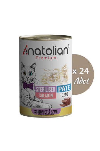 Somonlu Ezme Kısır Kedi Konservesi 400 gr x 24 Adet