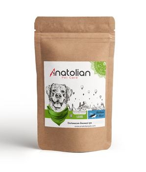 Anatolian Premium kuzulu Medium & Maxi yetişkin köpek maması deneme paketi