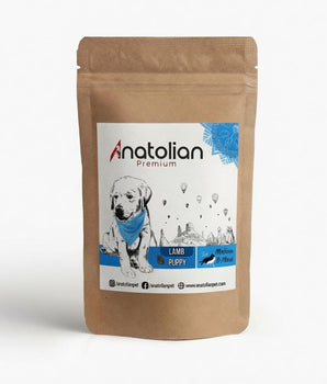 Anatolian Premium kuzulu Medium & Maxi yavru köpek maması deneme paketi