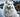 Anadolu'daki kedi ırkları