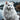 Anadolu'daki kedi ırkları