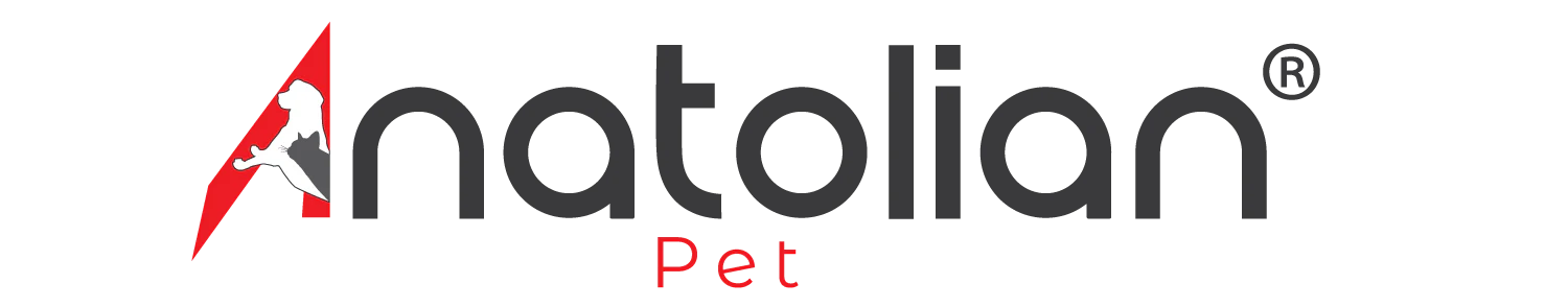 anatolian-pet