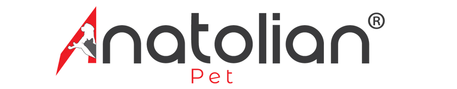 anatolian-pet