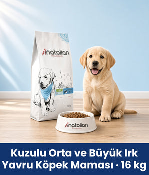 Anatolian Premium Kuzulu Orta ve Büyük Irk Yavru Köpek Maması 16 kg paketi, Labrador yavrusu ve mama kabı