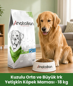 Anatolian Premium Kuzulu Orta ve Büyük Irk Yetişkin Köpek Maması 18 kg paketi, Golden Retriever ve mama kabı