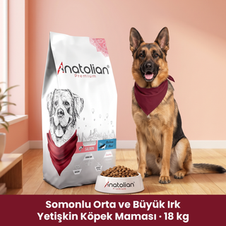Somonlu Orta ve Büyük Irk Yetişkin Köpek Maması 18 kg