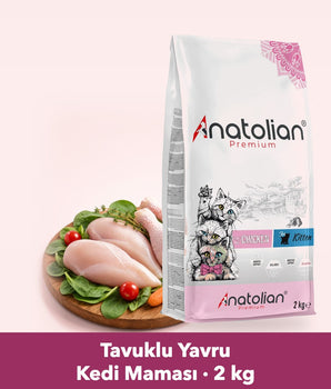 Anatolian Premium tavuklu yavru kedi maması 2 kg paketi ve gerçek tavuk eti tabağı